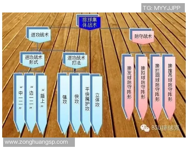 独家深度解析上海排球队不同速度对比及其战术影响分析 独家深度解析上海排球队不同速度对比及其战术影响分析